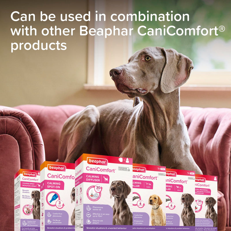 Beaphar - CaniComfort® Calming Spot-On For Dogs- Reduces Anxiety & Stress – Pheromone Calming - Fast-Acting - Starts Working in 15 Minutes - Ideal for Short-Term Events like Fireworks - 3 Pipettes