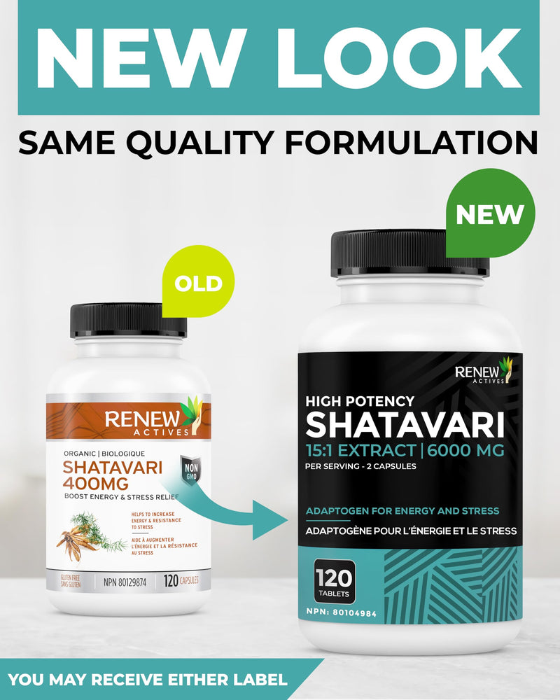 Renew Actives Shatavari Capsules ‚Äì Natural Adaptogen for Energy, Vitality, & Endurance ‚Äì Promotes Wellness & Resilience with Ayurvedic Herbs ‚Äì Organic, Vegan ‚Äì Made in Canada ‚Äì 120 Capsules - BeesActive Australia