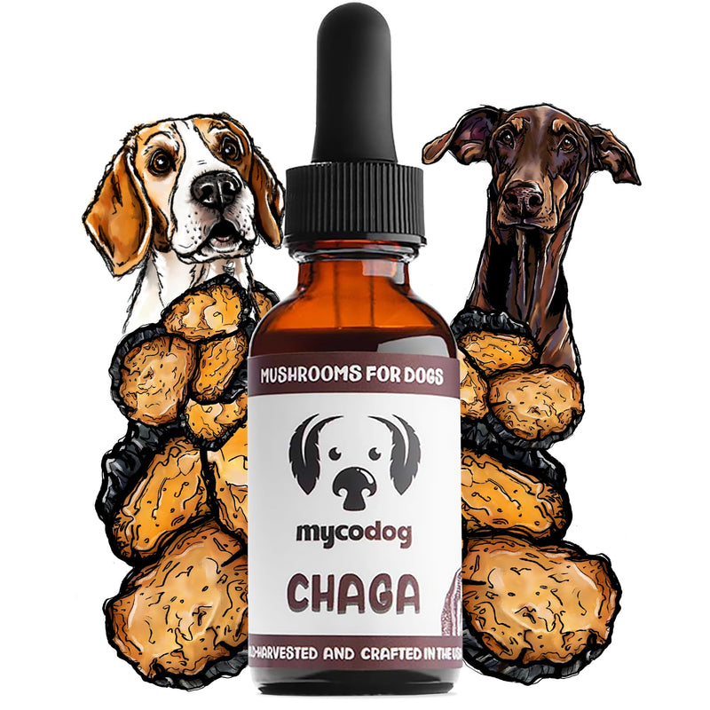 MycoDog Chaga Mushroom Supplement for Dogs - Immune Defense & Antioxidant Support - Natural Vitality & Wellness Drops