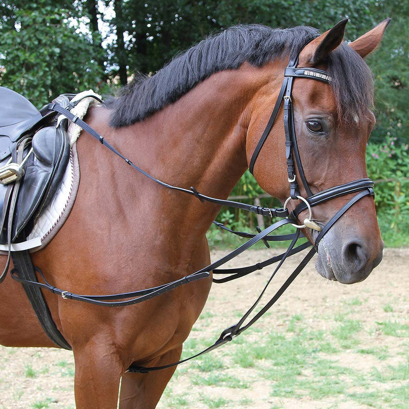 Kerbl triangular reins WB / Full black - BeesActive Australia