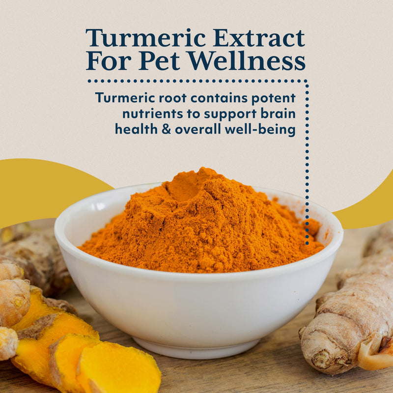 Ayush Pet Mobility, Curcumin Supplement for Healthy Joints, Pure and Powerful Joint, Digestion, and Brain Support, Large or Small Pets, 90 Capsules - PawsPlanet Australia