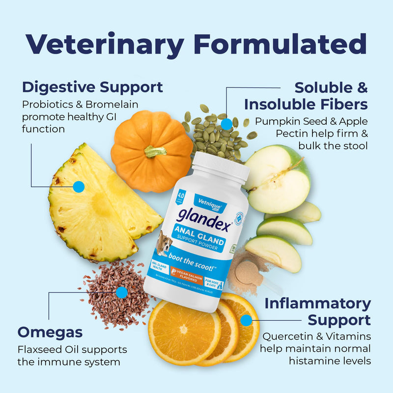 Glandex Dog & Cat Anal Gland Sac Fiber Supplement Powder With Pumpkin, Digestive Enzymes & Probiotics – Vet Recommended Healthy Bowels & Digestion - Boot The Scoot by Vetnique Labs (114g)