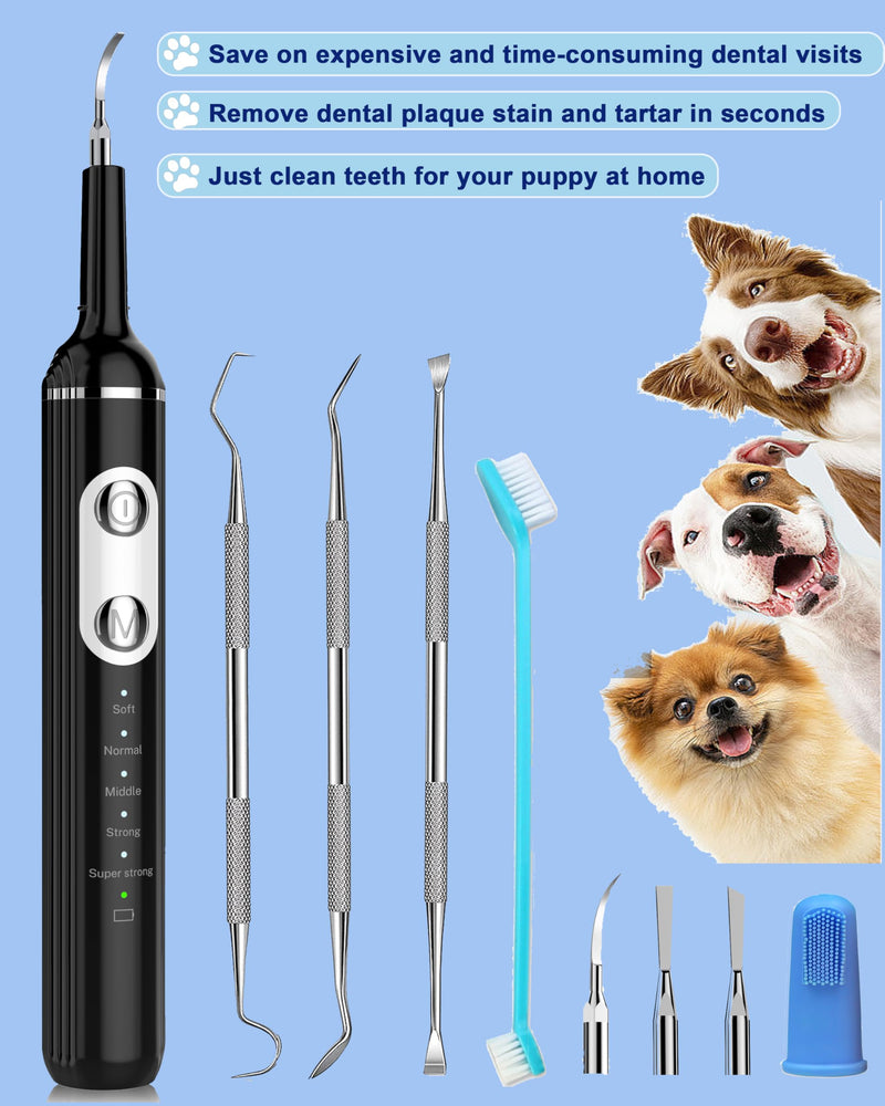 Stim-U-Dent Dog Plaque Remover for Teeth, Pet Teeth Cleaning Products for Tartar & Plaque Off, with LED-Light, Dog Toothbrush for Dental Care, Finger Toothbrush Black 1 count (Pack of 1)
