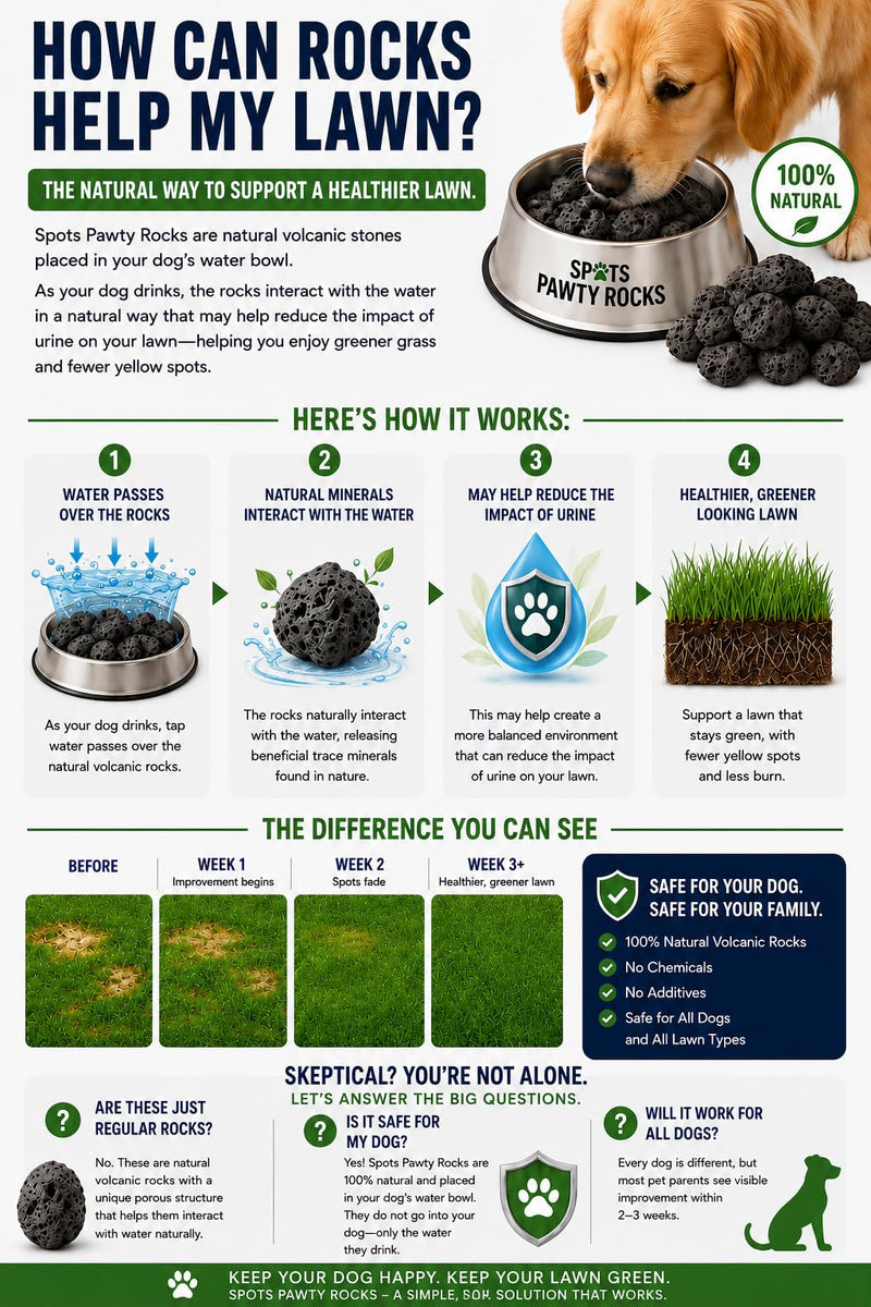 Spot's Pawty Rocks – Dog Water Bowl Rocks for Lawn Protection | Natural mineral rocks for dog water bowls that may help reduce yellow grass spots caused by dog urine.