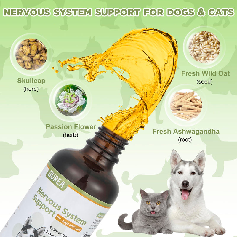 Seizure and Epilepsy Supplement, Nervous System Supplements for Dogs and Cats, Natural Herbal Help Relieve Anxiety, Involuntary Muscle Activity,Twitching and Drooling, Repetitive Strange Movements