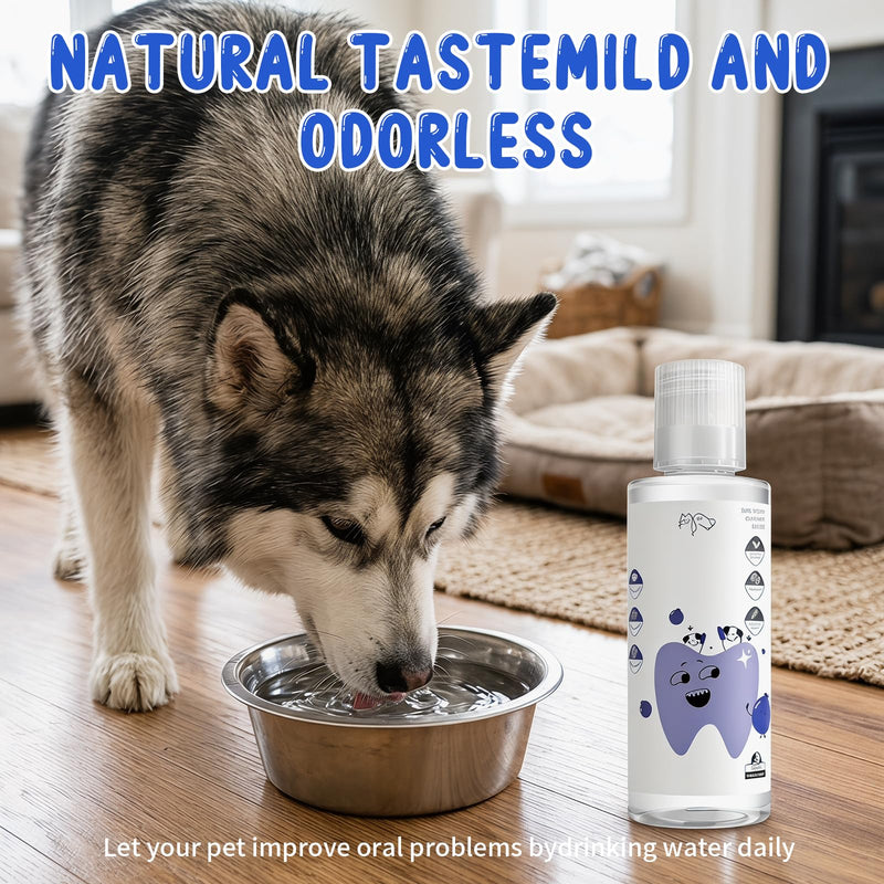 2 PCS PawBright Dental Plus,Natural Flavorless Teeth Cleaning Mouthwash to Fight Tartar,Promote Healthy Gums & Freshen Breath,Easy Daily Use for all Pet