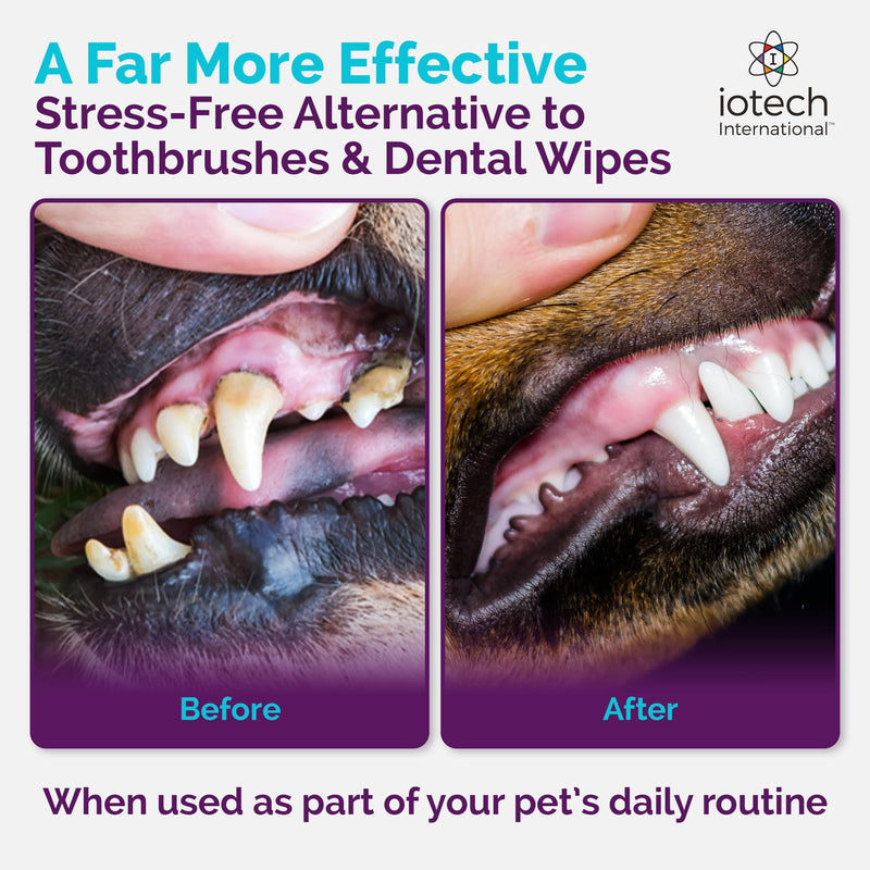 Recommended by Veterinarians Because it Simply Works Better. ioVet Oral Pet Water additive effortlessly Helps Your pet to the Clean, Healthy Mouth & Dazzling Fresh Breath You've Always Hoped for.