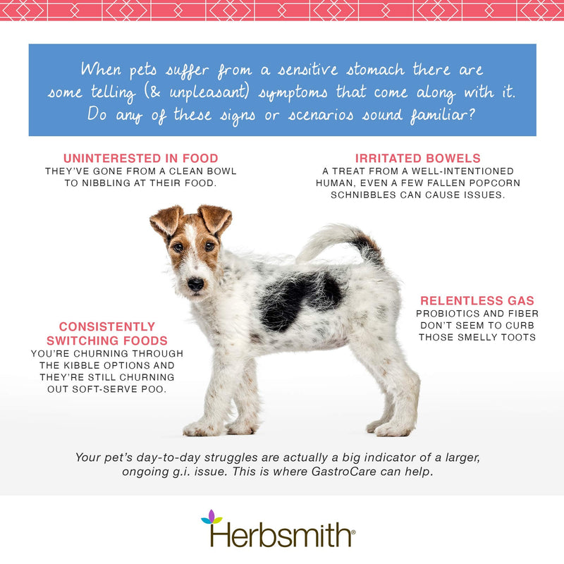 Herbsmith GastroCare - For Cats & Dogs with Sensitive Stomachs - Cat and Dog Digestive Support - Ease Canine and Feline Sensitive Stomach - 75g 75g Powder - BeesActive Australia
