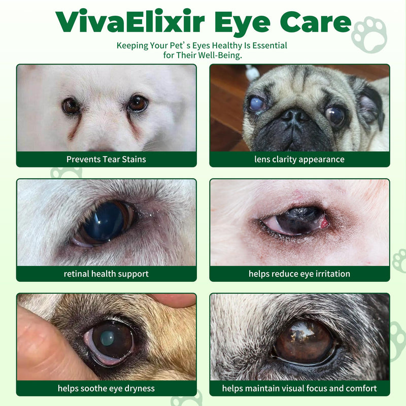 Diabetic Dog Vision Support Supplement– Alpha-Lipoic Acid, Lutein, Taurine & Blueberry Extract | Antioxidants Supports Eye Health & Protects Vision in Diabetic Dogs -90 Capsules