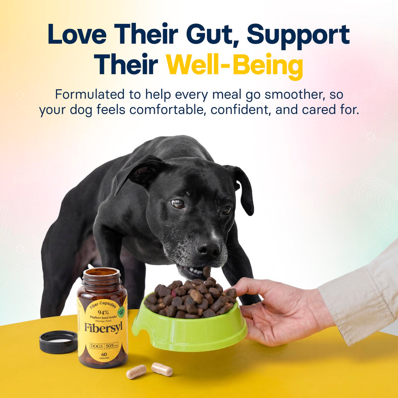 FiberSyl Prebiotics for Dogs Digestive Health - Dog Fiber Supplements for Constipation Relief & Support - Psyllium Husk Seed for Dog' Digestion Problems - Dog Stool Hardener - 60 Capsules