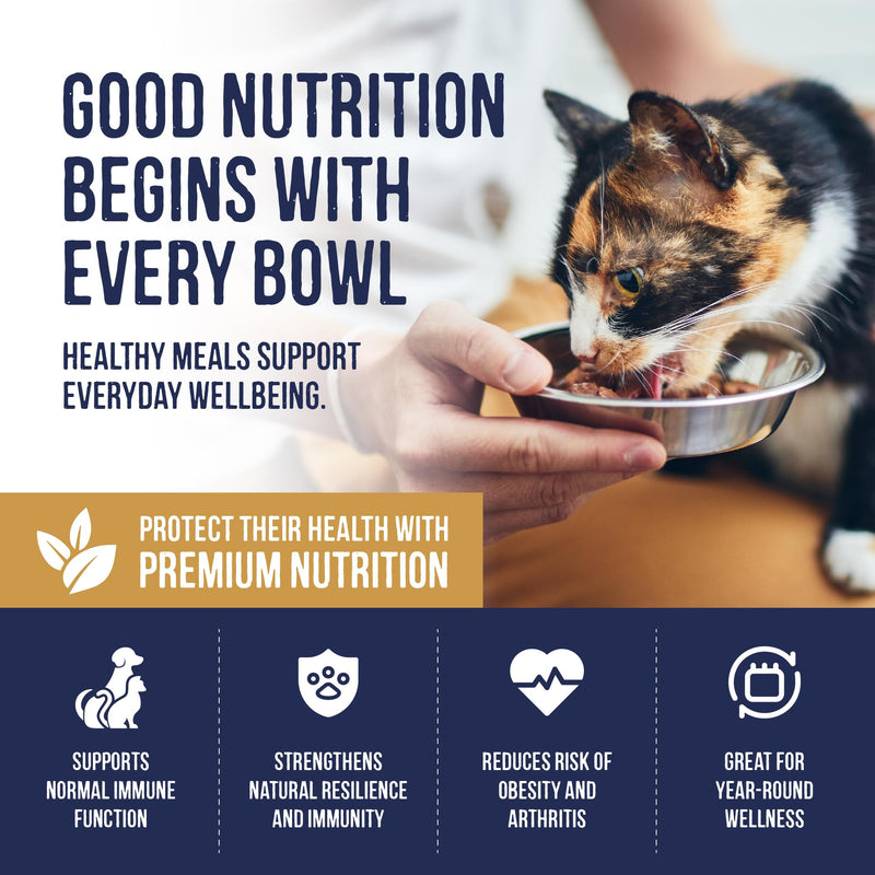 Harley & Marley Finest Atlantic Salmon Oil for Dogs & Cats - Pure Irish Fish Oil Supplement with Omega 3, 6 & 9 -Natural Ingredients for Healthy Skin, Coat, Joints & Heart Support - 250ml