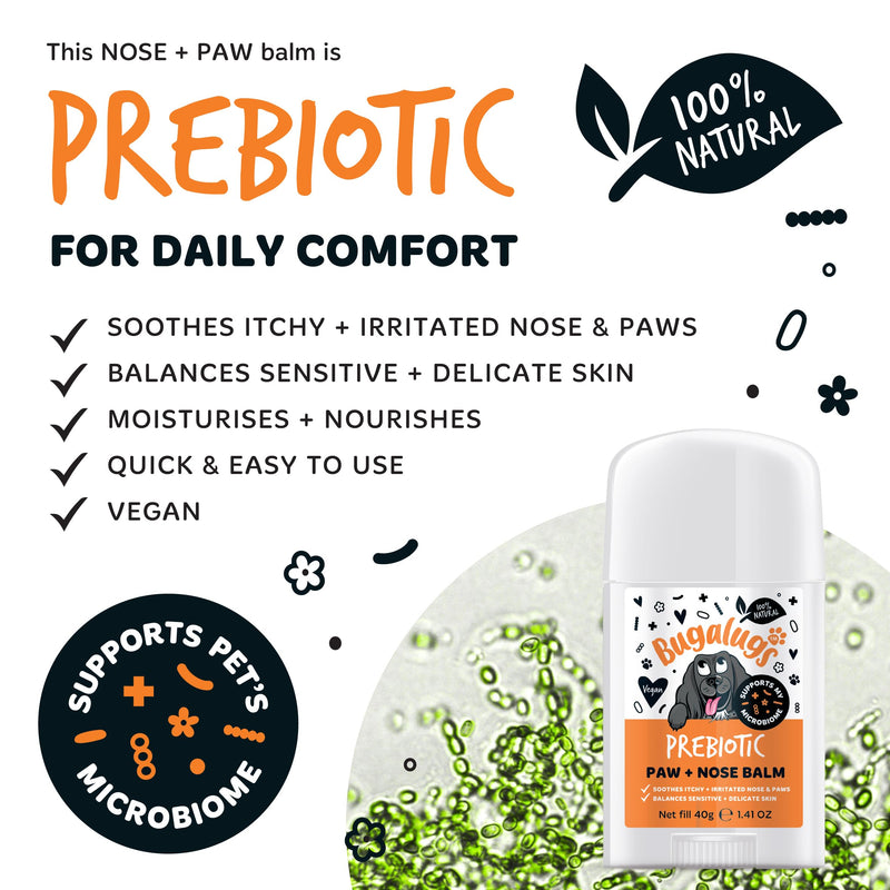 Bugalugs Prebiotic Dog nose balm, Natural lick safe Paw balm for dogs contains Pumpkin Powder for itchy skin and supports your dogs Microbiome (Prebiotic Paw & Nose Balm) Prebiotic Paw & Nose Balm