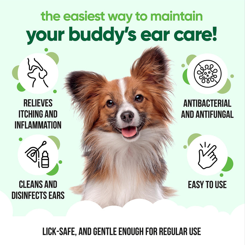 Buddycare Antiseptic Dog Ear Cleaner 200ml Soothing Ear Drops for Pets Antiseptic Ear Drops | Vet Approved Antibacterial Ear Drops for Dogs Cats and all Pets Antiseptic Ear Cleaner