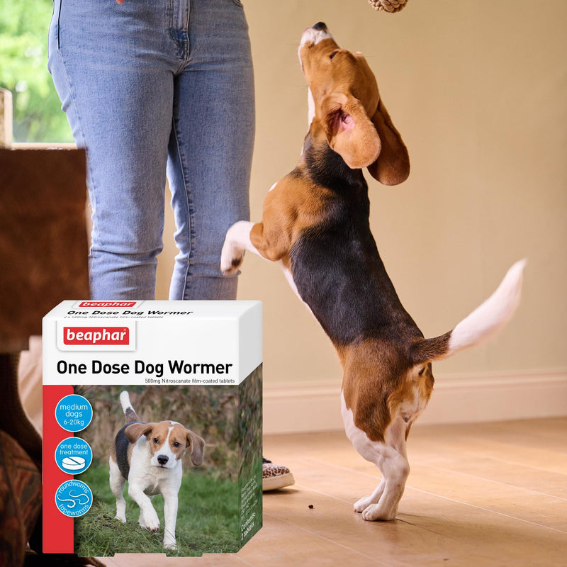 Beaphar – One Dose Dog Worming Tablets – For Medium Dogs Weighing 6kg to 20kg – Kills Roundworms and Tapeworms - Veterinary Medicine – Easy-To-Give Tablets – 2 tablet pack