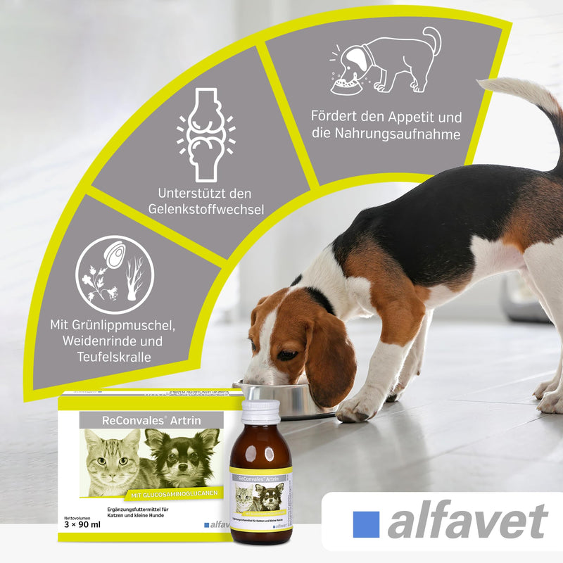 alfavet ReConvales Artrin, tonic 3x90ml, for bones and joints of cats and dogs, dietary supplement with omega-3 fatty acids - BeesActive Australia