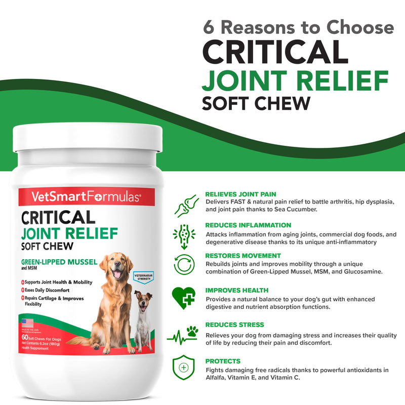 VetSmart Formulas Critical Joint Relief Soft Chew for Dogs – Hip & Joint Supplement with Glucosamine, MSM, Green-Lipped Mussel – Joint Discomfort, Hip Dysplasia & Mobility Support, Made in USA Soft Chews 60 Soft Chews