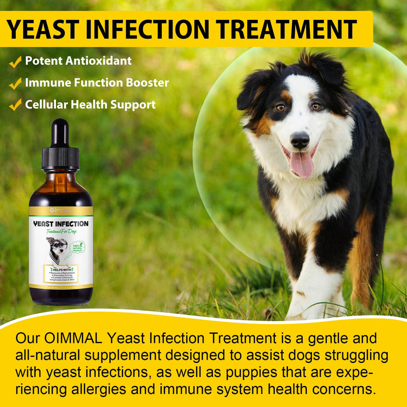 Yeast Infection Treatment for Dogs, Dog Ear Infection Treatment, Yeast for Itchy Dog Skin Relief, Allergy Relief, Soothe Itchy Paws, Eyes, Ears, Skin