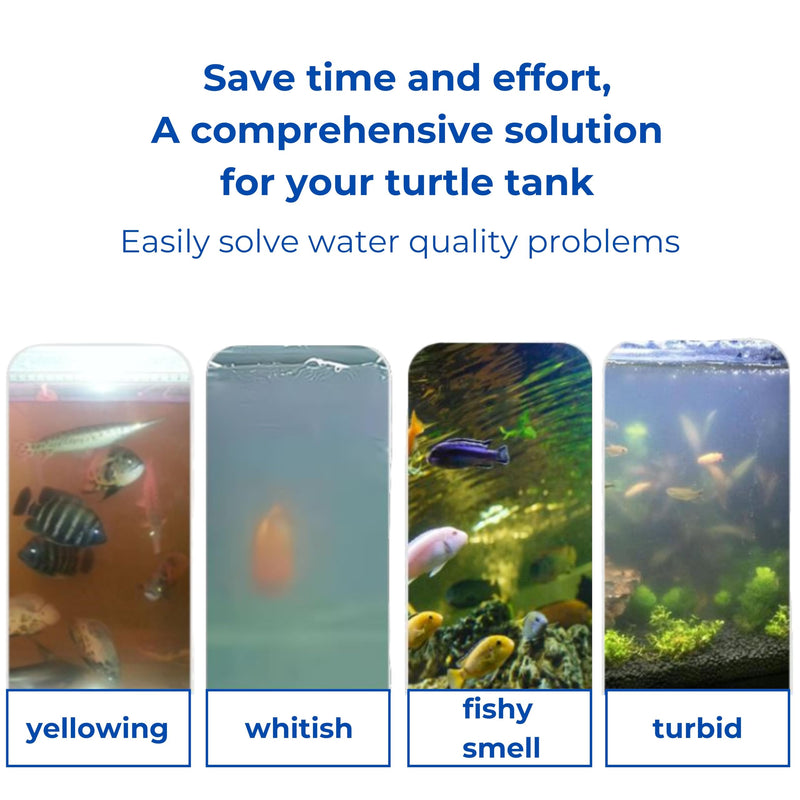 Acrylic Fish Feeding Box Ring for Turtle and Filter Balls Set, Betta Feeding Ring with Nitrifying Balls, Fish Feeding Box, Fish Food Holder, Turtle Enrichment Toys, Turtle Tank Accessories (Clear, S) Clear - BeesActive Australia