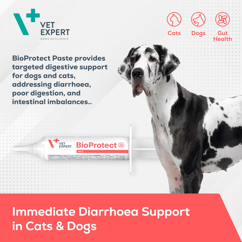 Vet Expert BioProtect Paste – Digestive Support for Dogs and Cats, Relieves Diarrhoea, Boosts Gut Health, and Restores Intestinal Balance with Probiotics, Prebiotics, and Bentonite (15 ml Syringe)