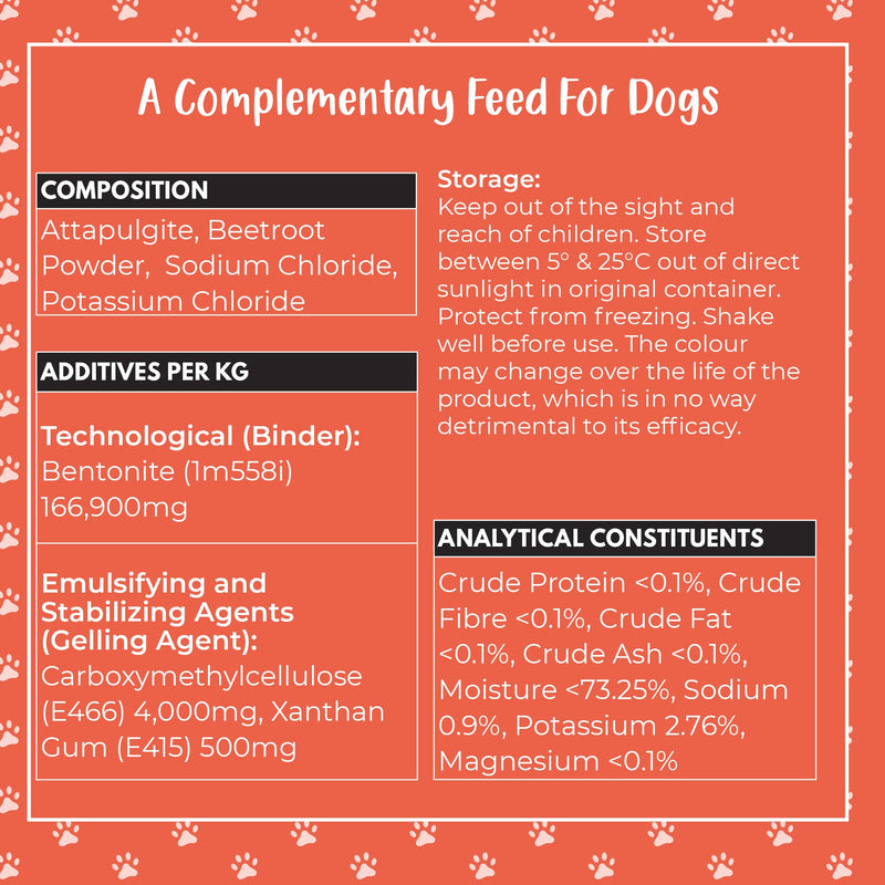 Buddy & Lola Fast-Acting Dog Diarrhea Treatment with Electrolytes - 20 Servings/100ml - Tummy Settler For Dogs All Breeds, Sizes and Ages - Syringe Included 100 ml (Pack of 1)