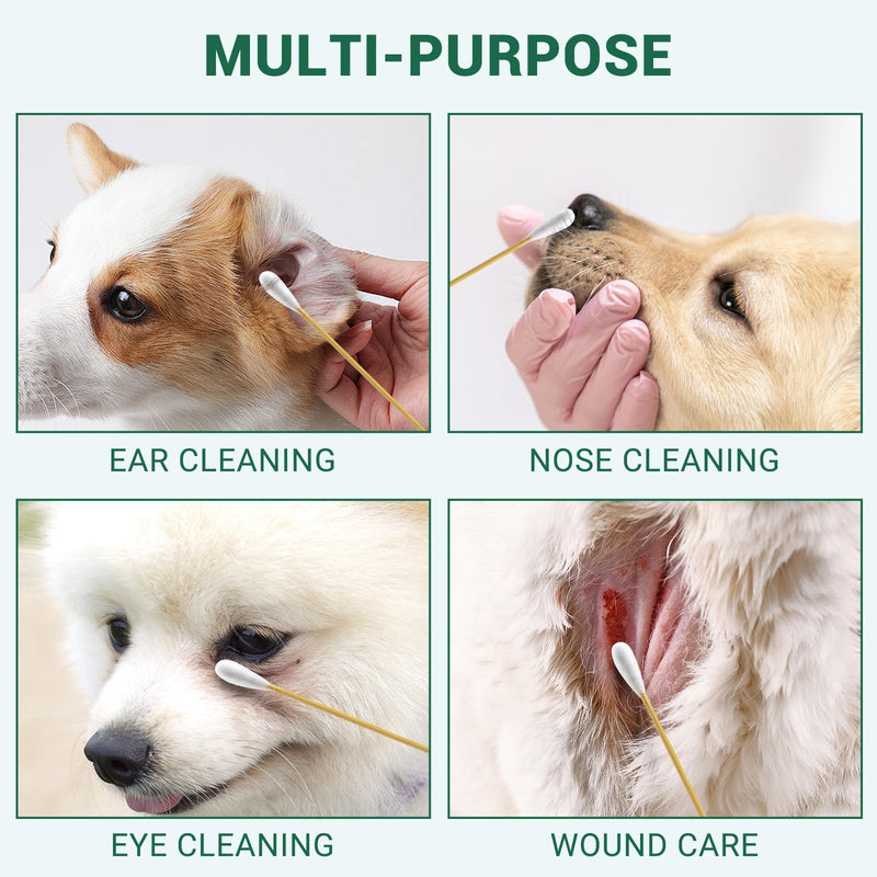 200PCS Large Cotton Swabs, Dog Cotton Swabs for Ears, 6" Long Dog Ear Swabs Large Size, Highly Absorbent Cotton Buds with Strong Bamboo Stick, Specially Designed for Dogs Cats Ear Cleaning, Pet Care 200pcs cotton swabs