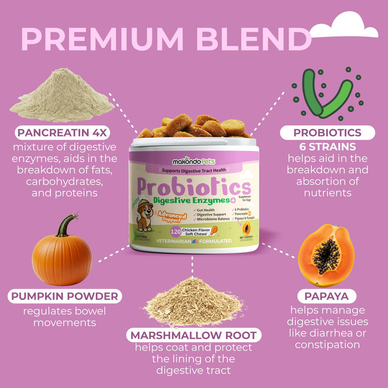 Dog Probiotics with Digestive Enzymes, Allergy Relief. 120 Soft Chews | 6 Probiotic Strains, Digestive Enzymes, Pumpkin & Papaya, Supports Gut Health & Gas Relief, Stool Support
