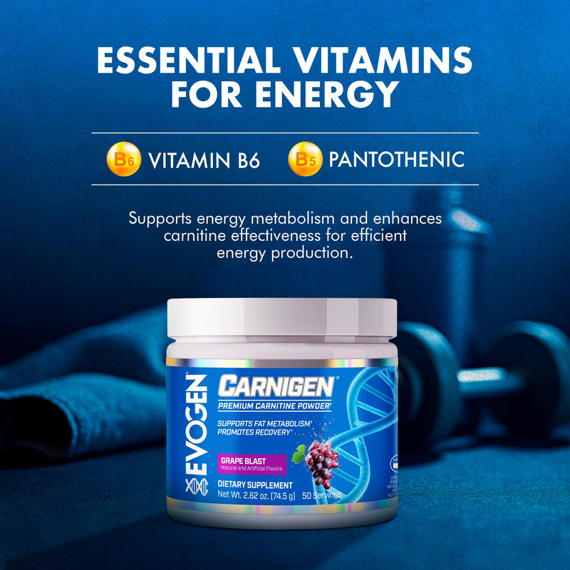 Evogen Carnigen Supports Energy and Metabolism | Grape | 50 Servings | Stimulant-free L-carnitine, acetyl L-carnitine and L-carnitine fumarate with BioPerine, B6 and pantothenic acid