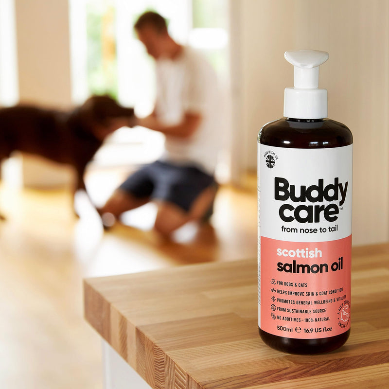 Buddycare Scottish Salmon Oil for Dogs and Cats (500ml x2) 100% Natural & Sustainable Supplement | Rich in Omega 3, 6 & 9 for Boosting the Health & Vitality of your Pet’s Skin, Coat & Immune System 500ml x2