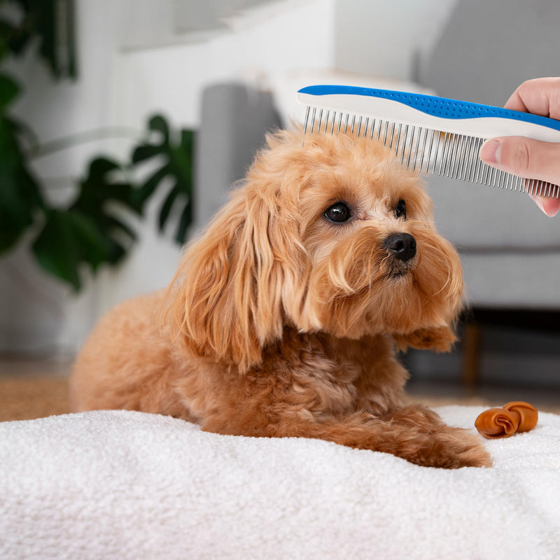 Dog Comb to Remove Tangles and Knots, Cat Comb with Stainless Steel Teeth and Non-Slip Handle, Dog combs for grooming matting for Long Haired Dog, Cat and Other pets. (Style 1) Style 1 - BeesActive Australia