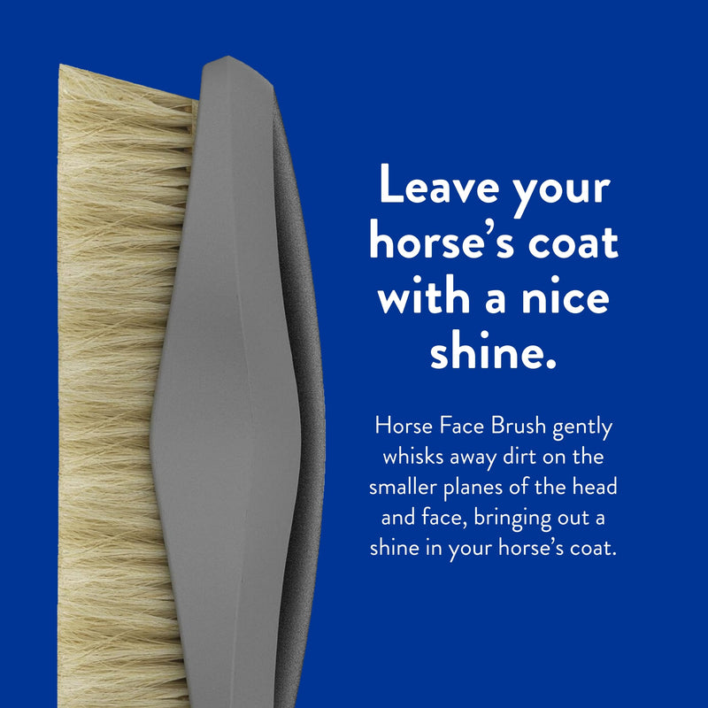 WAHL Professional Animal Equine Grooming Face Horse Brush - Black Face Brush - BeesActive Australia
