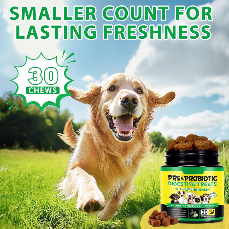Probiotics for Dogs - Chewable Pre Probiotic Digestive Chews for Dog, Support Gut Health & Itchy Skin Relief, Pet Supplement Soft Chews for Dogs - 30 Chews 30pc