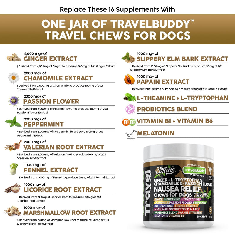 Clean Pets Travel Chews Nausea Relief for Dogs | Ginger L-Tryptophan Chamomile Passion Flower L-Theanine Peppermint Valerian Root Fennel Licorice Root Marshmallow Root Slippery Elm Melatonin Chew 60 Count (Pack of 1)
