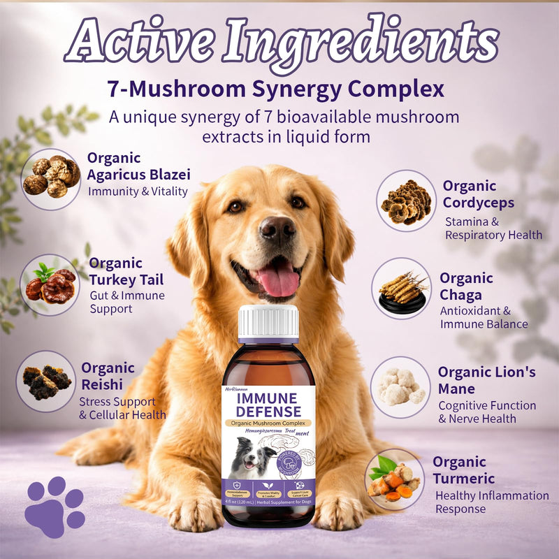 Dog Cancer Supplement 4 oz - Dog Cancer Care and Lumps & Bumps Support, 7 Organic Turkey Tail Mushroom Blend with Turmeric for Dog for Hemangiosarcoma, Hemoabdomen, Cancer & Vascular Support