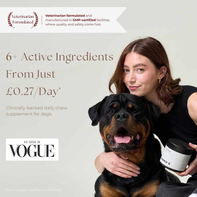 Rusko's Calming Supplement for Dogs | Supports Anxiety Relief, Stress & Nervous Behaviour | Ashwagandha, Valerian Root & L-Tryptophan | 120 Soft Chews