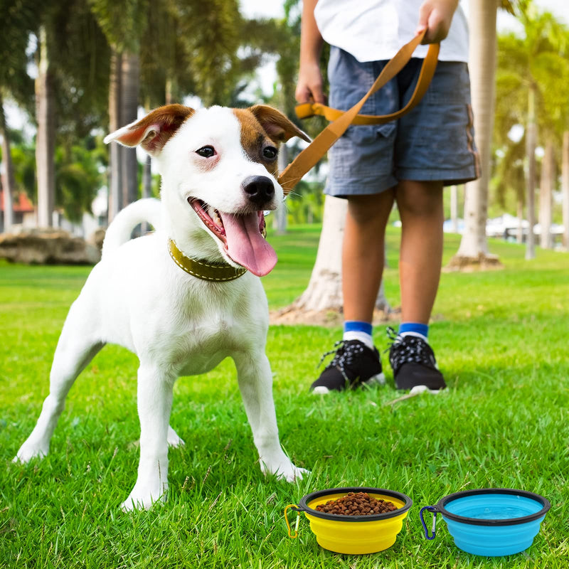 2-Pack Small Dog Travel Bowl, Collapsible Bowls for Dogs, Foldable Cat Water Bowl, Portable Pet Feeding Watering Traveling Dish (Yellow & Light Blue) Yellow & Light Blue - BeesActive Australia