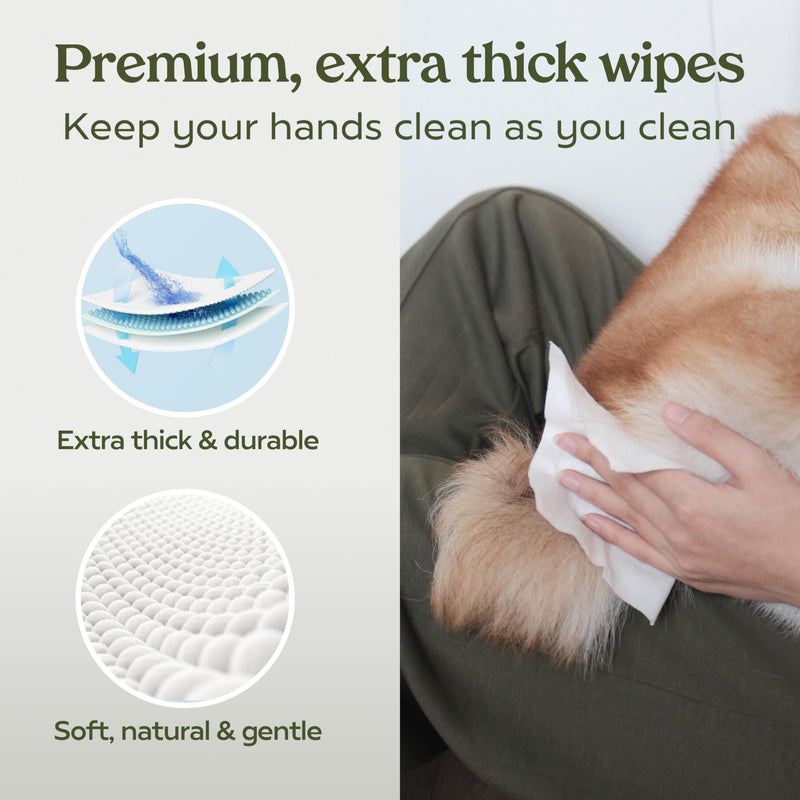 Pawfume Dog Wipes 100 Count, Pet Wipes – Hypoallergenic & Gentle Dog Wipes for Eyes, Face, Butt, and Paws – Cleaning & Deodorizing, Grooming Tear Stain Wipes for Puppy, Adult Dogs & Cats Pack of 1 - BeesActive Australia
