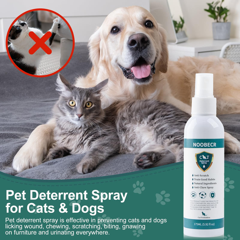 Cat Deterrent Spray, 175ML. Cat Deterrent Indoor for Cat and Kittens. Cat Deterrent Indoor & Outdoor Training Aid for Furniture, Sofa, Rugs, Curtain. Cat Scratch Furniture Protector. - BeesActive Australia