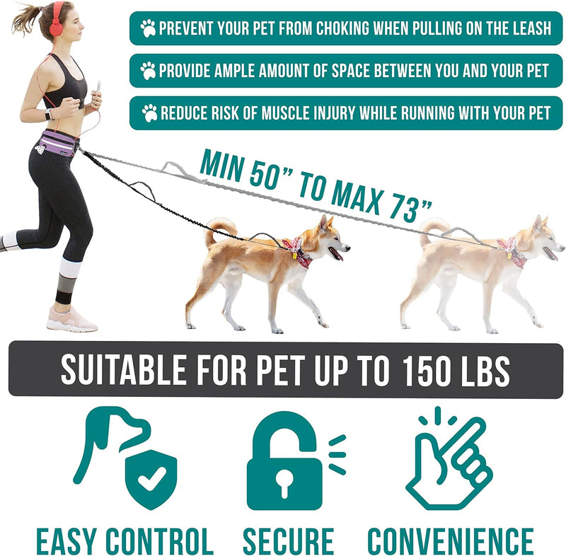 PetAmi Hands Free Dog Leash, Dog Running Leash Belt for Walking Jogging, Dog Waist Zipper Pouch Fanny Pack with Poop Bag Dispenser, Dual Padded Handle Bungee Leash for Small Medium Large Dogs, Double 2 Leashes Purple - BeesActive Australia