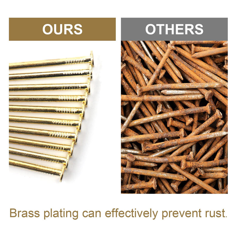 6 Sizes Gold Hardware Nails Assortment Kit, 358pcs, Brass Plated, Nails for Hanging Pictures, Finishing Nails, Wood Nails, Wall Nails for Hanging (3”, 2”, 1-1/2”, 1-1/4", 1”, 3/4") 358 - BeesActive Australia
