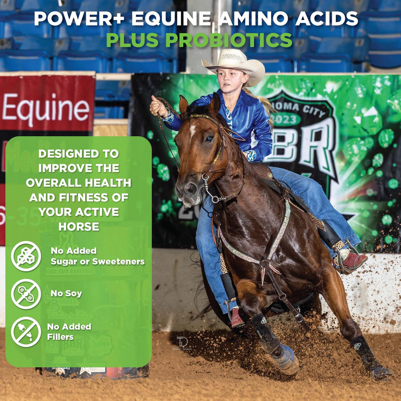 Power+ Horse Supplement (174g/0.38lbs - 30 Servings) - 9 Equine Amino Acids Plus Probiotics for Horses - No Added Sugar, No Soy, No Fillers - Horse Joint Support Supplement - BeesActive Australia