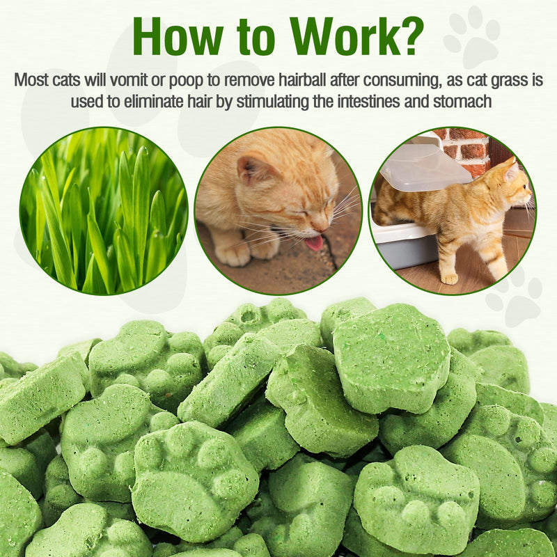 Freezed Drying Cat Grass Treats, Cat Grass Teething Sticks Cats Snacks for Hairball Removal and Dental Care Cat Grass-50g