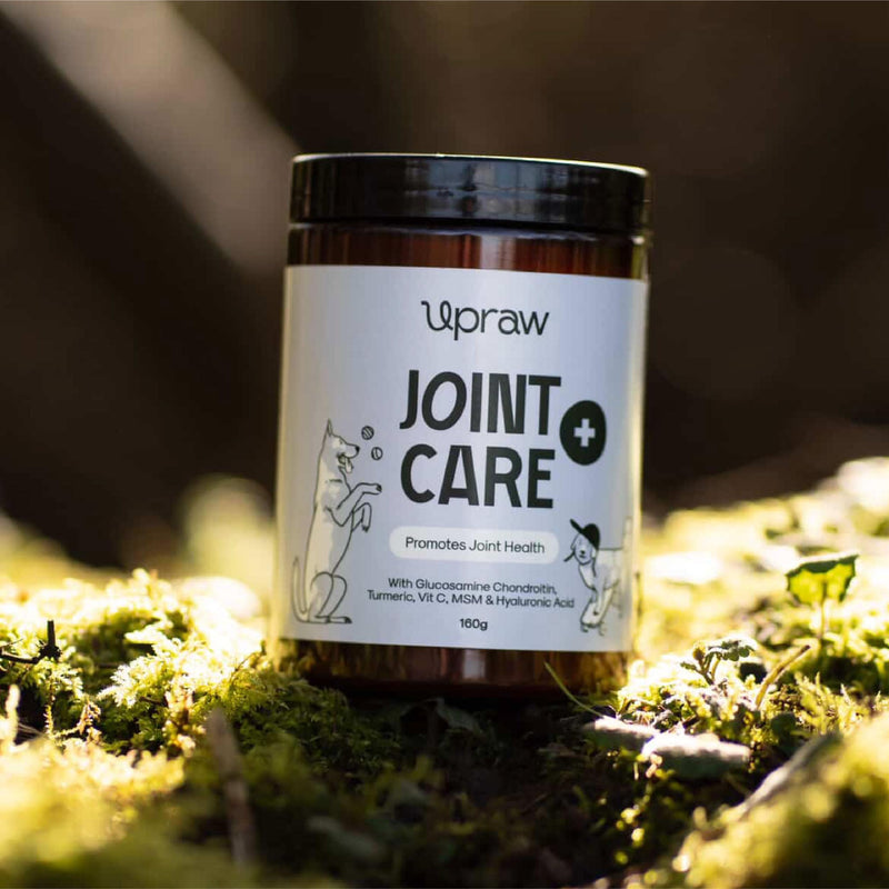 Joint Care for Dogs 160 g - Natural Joint Support Powder with Glucosamine Chondroitin MSM Turmeric and Hyaluronic Acid Supports Mobility