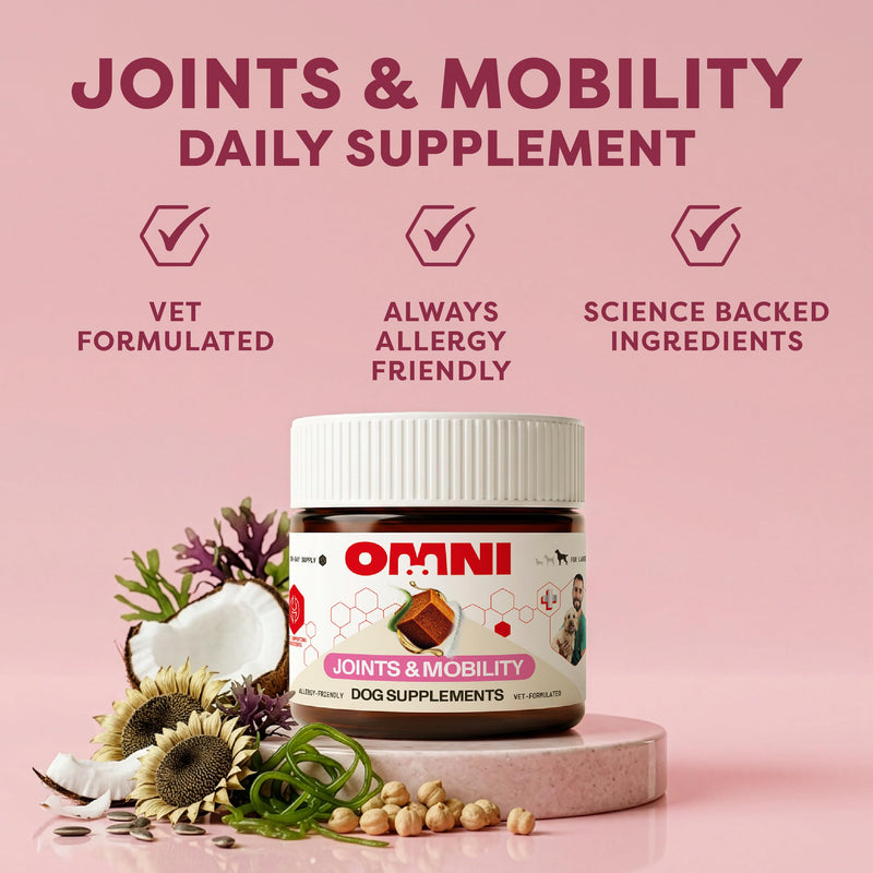 Omni Joint Supplements for Dogs - Dragons’ Den Winners, One-a-Day Joint & Mobility Chews with Glucosamine, Chondroitin & Omega 3, 30 Servings, Medium 15-30kg, Packaging May Vary Medium Dog (15-30kg) Pack of 1