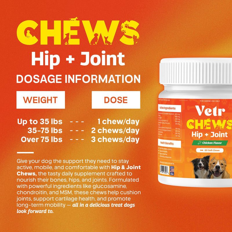 Vetr Hip and Joint Chicken Flavored Chews for Dogs - Glucosamine Chondroitin MSM Supplement - 120 Chewable Tablets - Vet-Formulated in USA