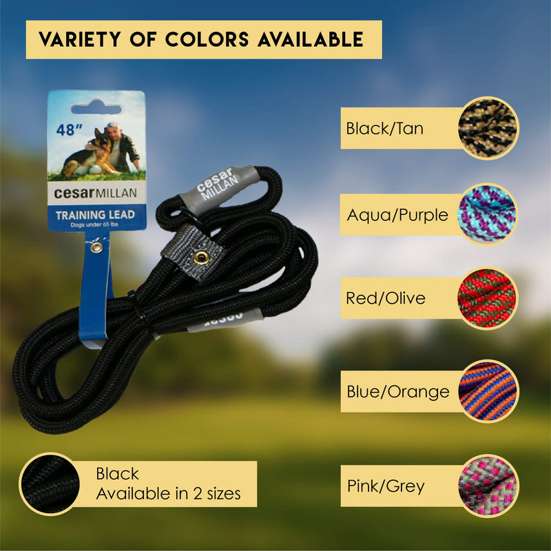 Cesar Millan Slip Lead Leash™ - 2-in-1 Slip Collar Dog Training Lead & Collar | Heavy Duty Durable Weatherproof Rope Leash, No Pull Training | length 4ft diameter 4/10”(Regular, Black) Regular - BeesActive Australia