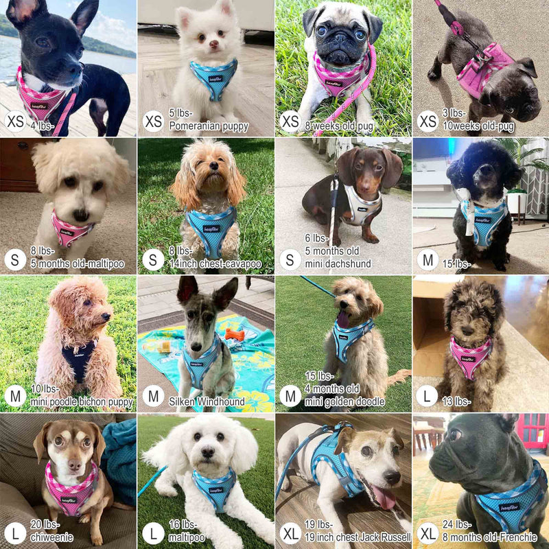 Dog Harness with Leash Set, No Pull Adjustable Reflective Step-in Puppy Harness with Thickened Padded Vest for Extra-Small/Small Medium Dogs M (Chest 15''-18'', Weight 10-15 lb) Beige - BeesActive Australia