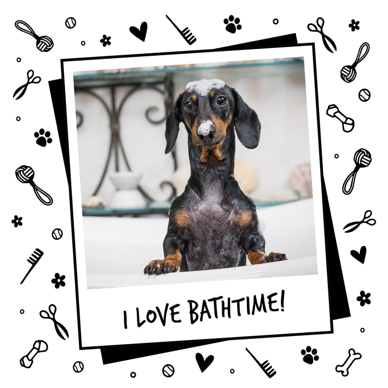 Dog Shampoo Luxury 2 in 1 Papaya & Coconut dog grooming shampoo products for smelly dogs with fragrance, best puppy shampoo, professional groom Vegan pet shampoo & conditioner 16.85 Fl Oz - BeesActive Australia