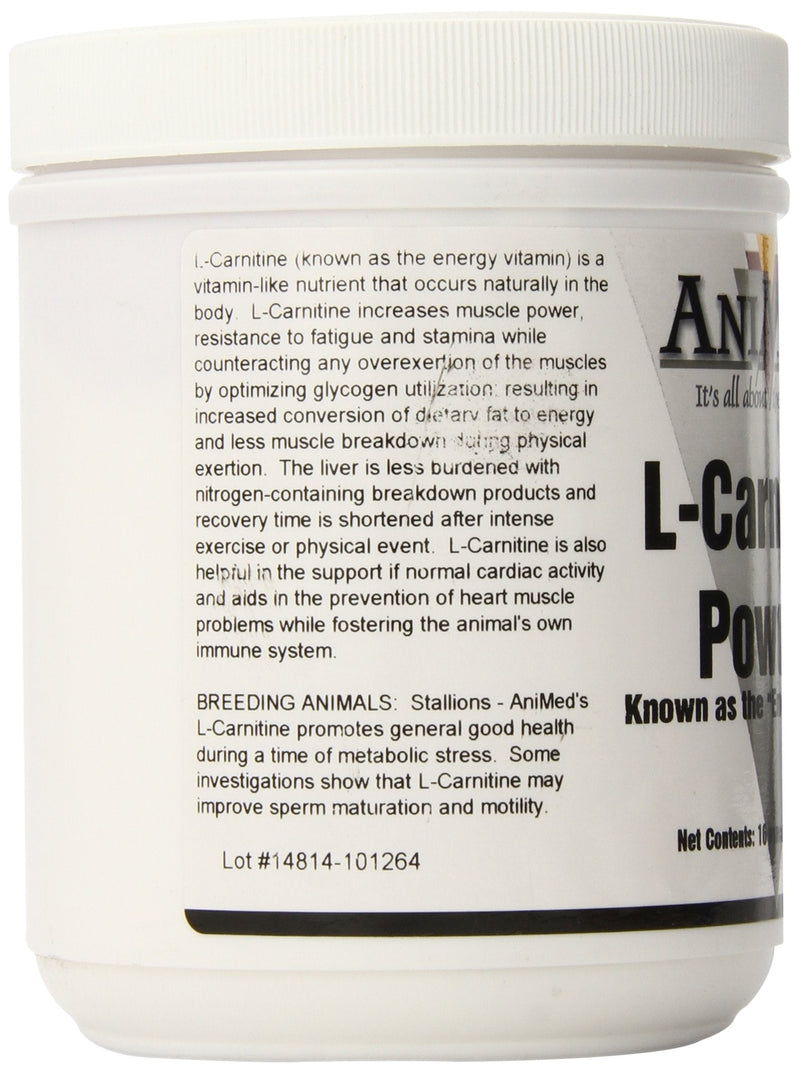 AniMed L-Carnatine 850mg Per Ounce for Horses, 16-Ounce