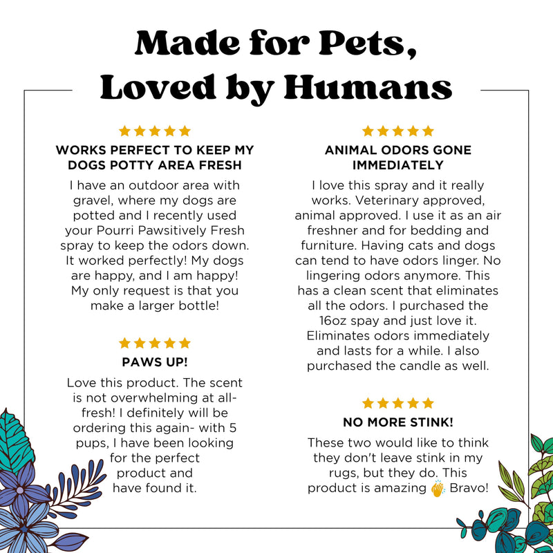 Pet-Pourri Pet Odor Air + Fabric Odor Freshener Spray, Pawsitively Fresh, 16 Fl Oz - BeesActive Australia