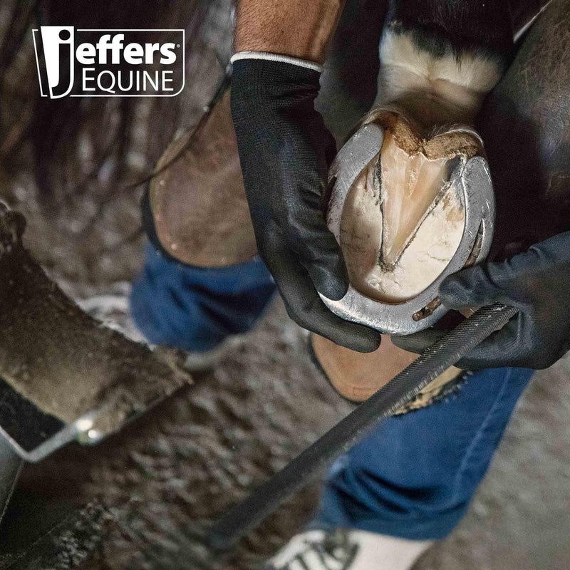 Jeffers Livestock Mini Hoof Rasp for Goats, Sheep, Pony, Mini Horses, Foals – 10" Ergonomic Steel Hoof Trimming Tool with 6 Teeth per Row – One Hand Use, Compact Farrier Hand Rasp